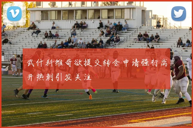 武什科维奇欲提交转会申请强行离开热刺引发关注