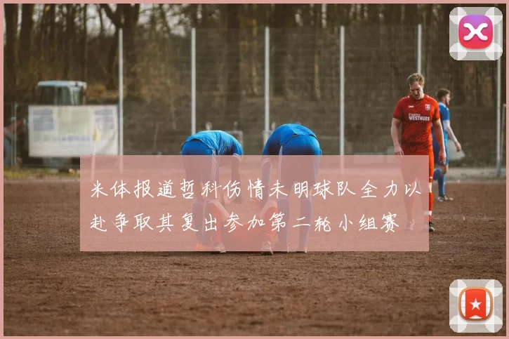 米体报道哲科伤情未明球队全力以赴争取其复出参加第二轮小组赛