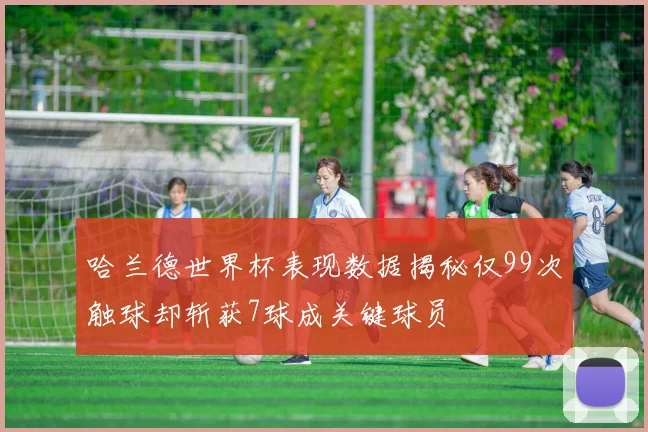 哈兰德世界杯表现数据揭秘仅99次触球却斩获7球成关键球员
