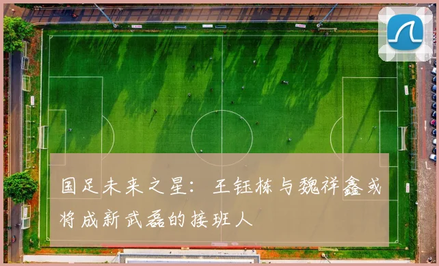 国足未来之星：王钰栋与魏祥鑫或将成新武磊的接班人